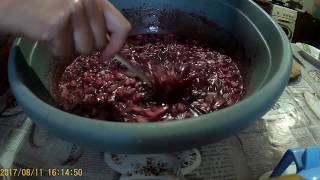 Кровяная колбаса и сальтисон
