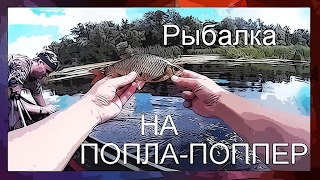 Рыбалка на попла-поппер