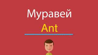 Муравей по-английски