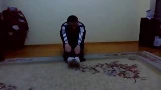 Isınma Hareketleri, Mekik Ve Şınav