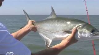La pêche de la liche amie