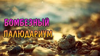 БОМБИЧЕСКИЙ ПАЛЮДАРИУМ