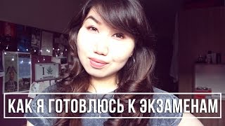 Как Я Готовлюсь к Экзаменам | My Cup of Shai