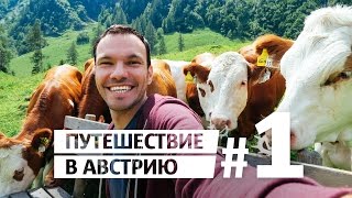 Австрия Альпы | Путешествие в Австрию #1