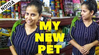 Iguana in Noida ? My new Pet | Must Watch!!