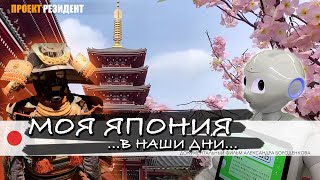 Моя Япония документальный фильм. Токио. Блог