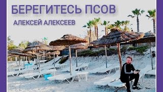 Берегитесь псов