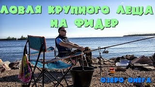 Ловля крупного леща фидером на Онежском озере