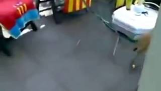 Taciz Edilmekten Hoşlanan Kız