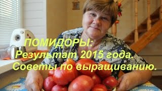 Помидоры: Результат 2015 года. Советы по выращиванию.