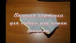 Вязаная кофточка для собаки или кошки спицами