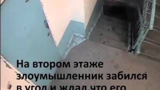 Косячник попался на камеру