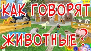 ГОЛОСА ДОМАШНИХ ЖИВОТНЫХ ДЛЯ ДЕТЕЙ ДОМАШНИЕ ЖИВОТНЫЕ ДЛЯ ДЕТЕЙ