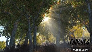 Fallout 4 PS4 Mods: Overgrowth, Immersive Forests & Grasslands