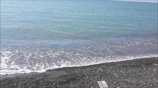 Buknari Beach / Пляж в букнаре (2017) ?