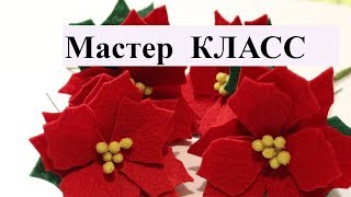 цветок из фетра мастер класс как сделать   Пуансеттия RusLanaSolo