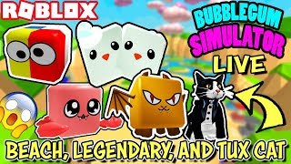 ? ROBLOX LIVE ? FREE BEACH AND LEGENDARY PETS IN BUBBLEGUM SIMULATOR, GET TUXEDO CAT TOO!
