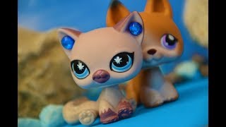 Littlest Pet Shop: Návrat krále (Chloe&Josh)