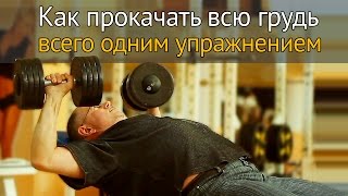 Как прокачать всю грудь одним упражнением