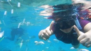 Sensasi Snorkeling Murah UMBUL PONGGOK