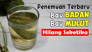 BIKIN GEGER! BAU BADAN, BAU KETEK, DAN MAU MULUT LENYAP TANPA BEKAS || SEHAT TUBE