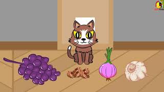 เพลงแมวเหมียว ลูกแมวน้อย Cat song