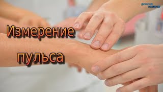 КАК ПРАВИЛЬНО ИЗМЕРИТЬ ПУЛЬС / HOW TO MEASURE THE PULSE