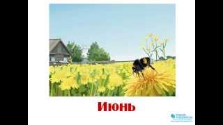 Презентация для детей Времена года