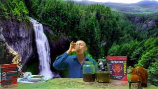 ЭТО НЕ ПОКАЖУТ ПО ТВ! СТАРИННЫЙ ТРАВЯНОЙ ОЧИСТИТЕЛЬ КРОВИ, ЧУДО РЕЦЕПТ! Виталий Островский. Очищение