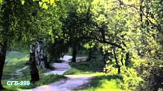 Витас - Тополь