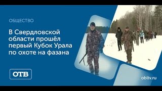 В Свердловской области прошёл первый Кубок Урала по охоте на фазана