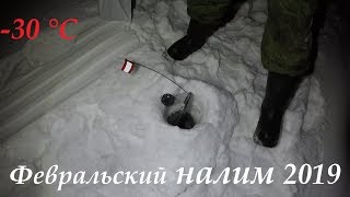 Ловим налима на жерлицы / февраль / Catch burbot on imitation fish / February