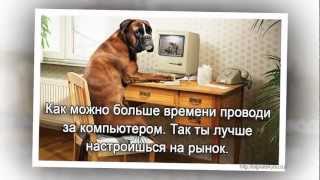 Margin Call. Стратегия ХАОСА