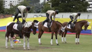 Vistosos ejercicios de gimnasia a pie firme