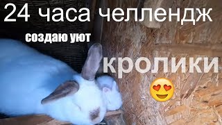 24 часа челлендж создаю уют кролики