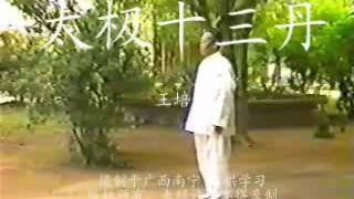 Taiji Shisan Dan (Taiji 13 Elixirs) - I | Wang Peisheng