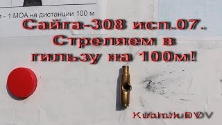 Сайга-308 исп.07.  Стрельба в гильзу на 100м.