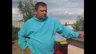 Как исправить семью трутовку ?