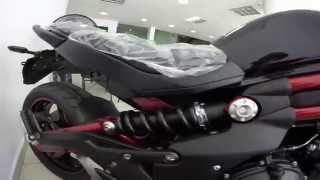 Kawasaki ER-6N & Z800 & Z1000 - 2015 & AKN