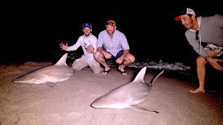 Beach Shark Fishing with the New York Mets - 4K
