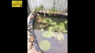 ПРУД СВОИМИ РУКАМИ - ПРУД  С ВОДОПАДОМ
