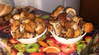 За былыми грибами.Грибные места!