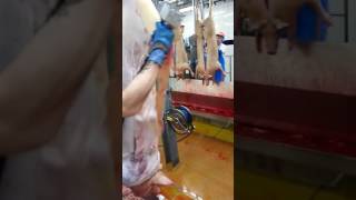 Ручная пневматическая шкуросъемная машина FREUND HSK8 P3