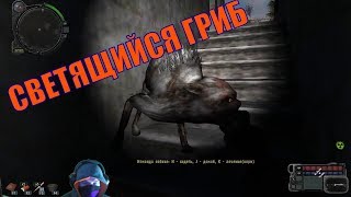 ? Сталкер: Выживший. Побег из зоны.  #2 | Светящийся гриб | Прохождение с DevJon
