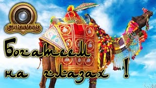 Caravan - Прохождение игры #3 | Богатеем на глазах !