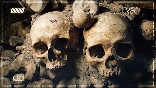 Человеческие кости в затопленном подвале | Кто стучал?! Разборки с бомжами