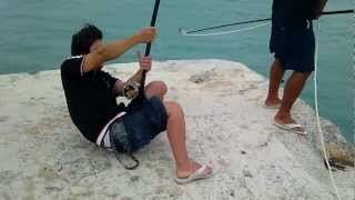 沖縄県宮古島の釣り ロウニンアジ GT Giant trevally 37kg okinawa miyakojima fishing 오키나와의 낚시