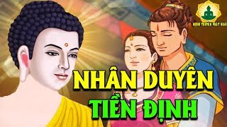 Kể Truyện Đêm Khuya, Qua Các Kiếp LUÂN HỒI Thì Vợ Chồng Gặp Nhau Do DUYÊN NÀY
