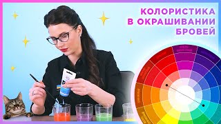 Колористика в окрашивании бровей | Базовые цвета и нейтрализация нежелательных цветовых нюансов