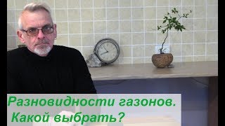 Разновидности газонов.  Какой выбрать?
